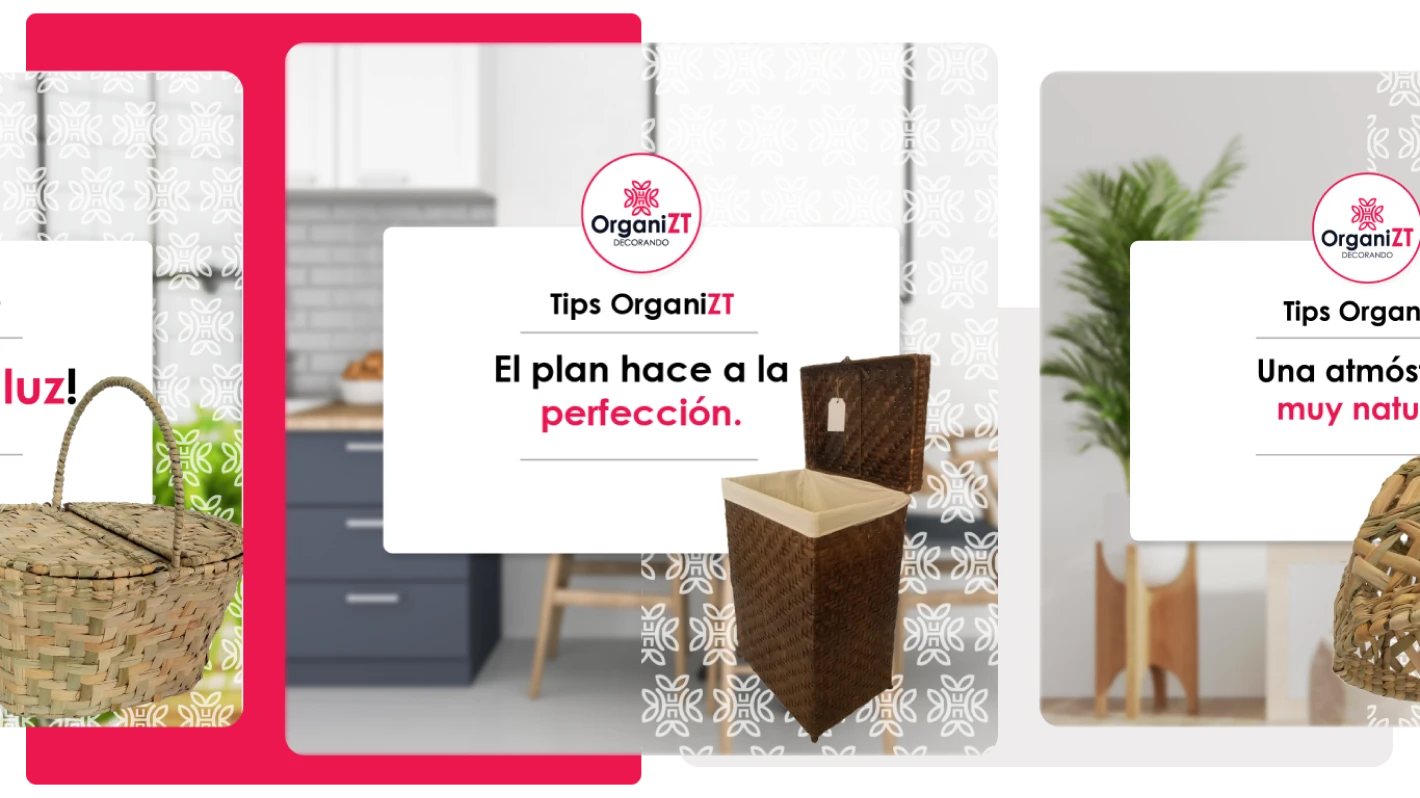 Organizt — contenido digital