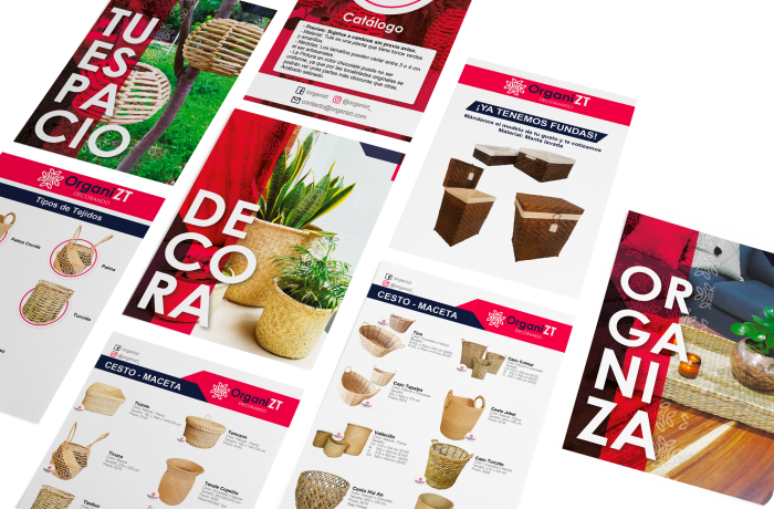 Organizt post 1