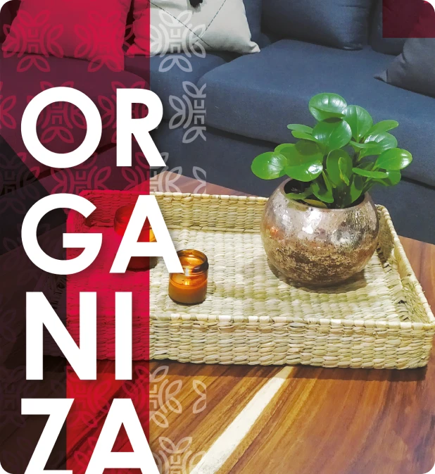 Catálogo Organizt página 4