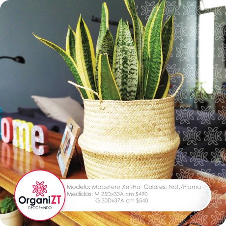 Organizt productos