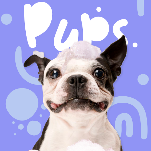 Pups Toys redes sociales 3