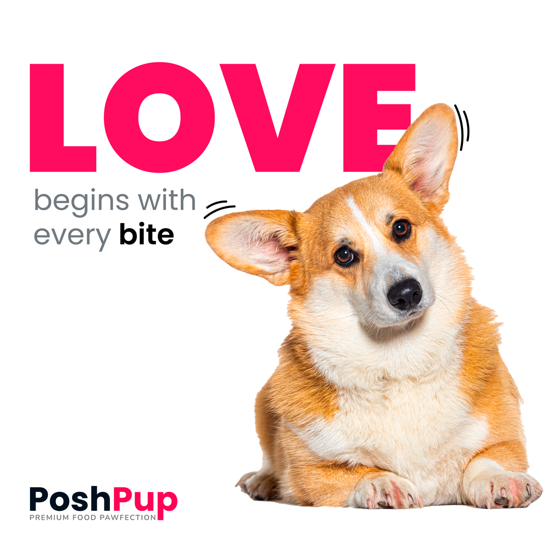 PoshPup — post de redes sociales, 'LOVE begins with every bite'