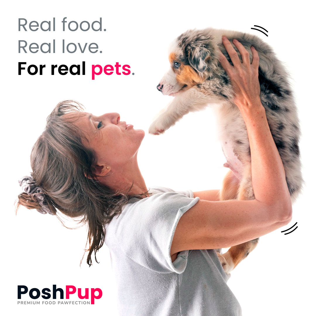 PoshPup — post de redes sociales, 'Real food. Real love. For real pets.'