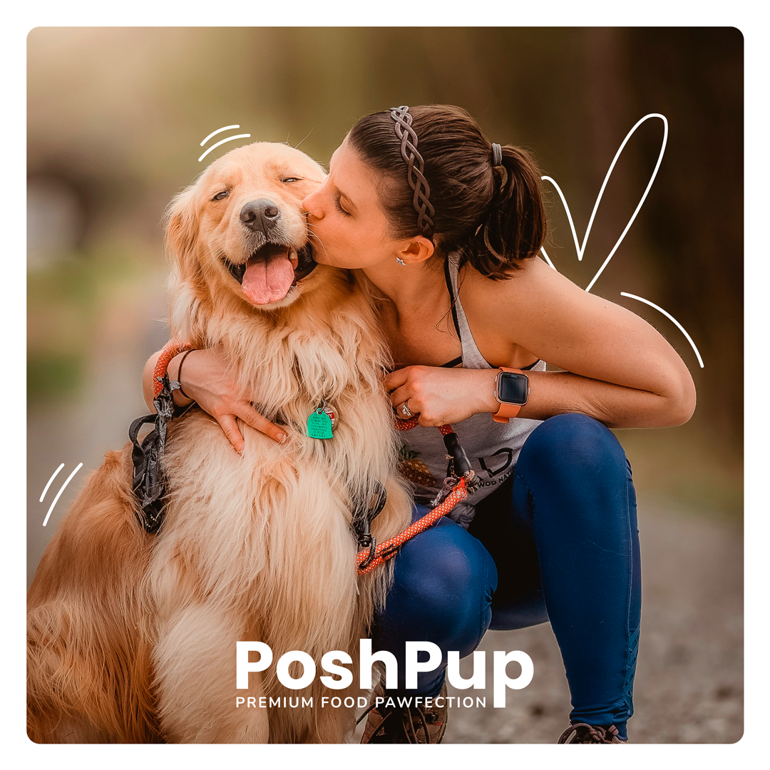 PoshPup — post de redes sociales, mujer besando a un golden retriever