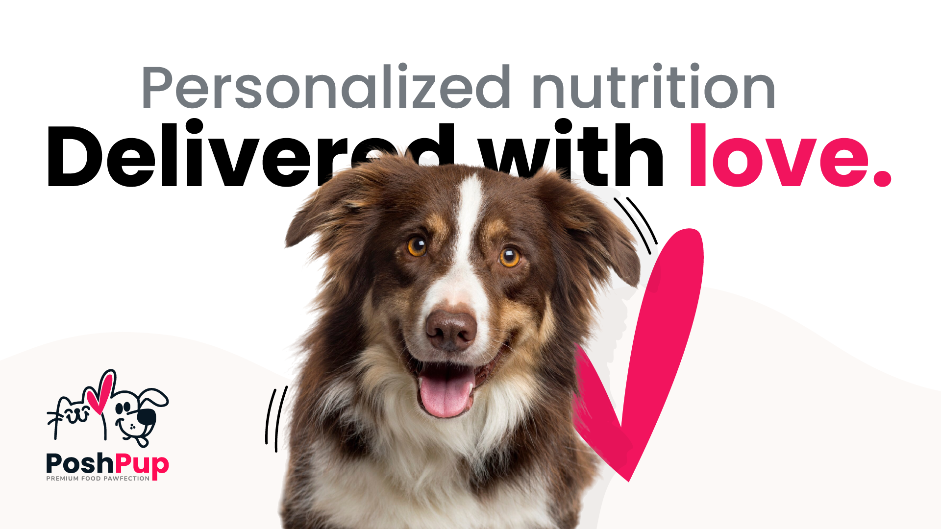 PoshPup — identidad de marca para alimento premium de perros